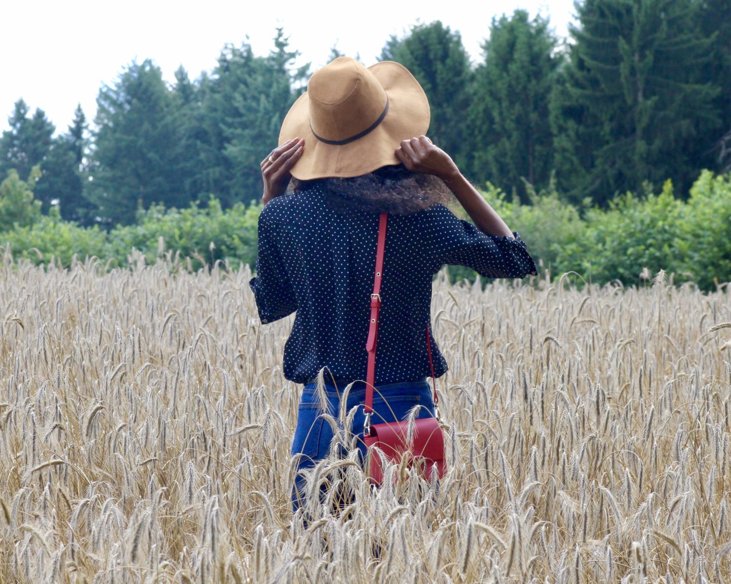 POLKA DOTS IN THE FIELD